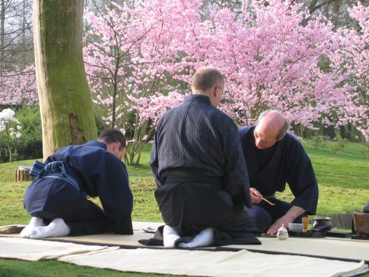 Chabako tea ceremony with cherry blossoms, Hasselt